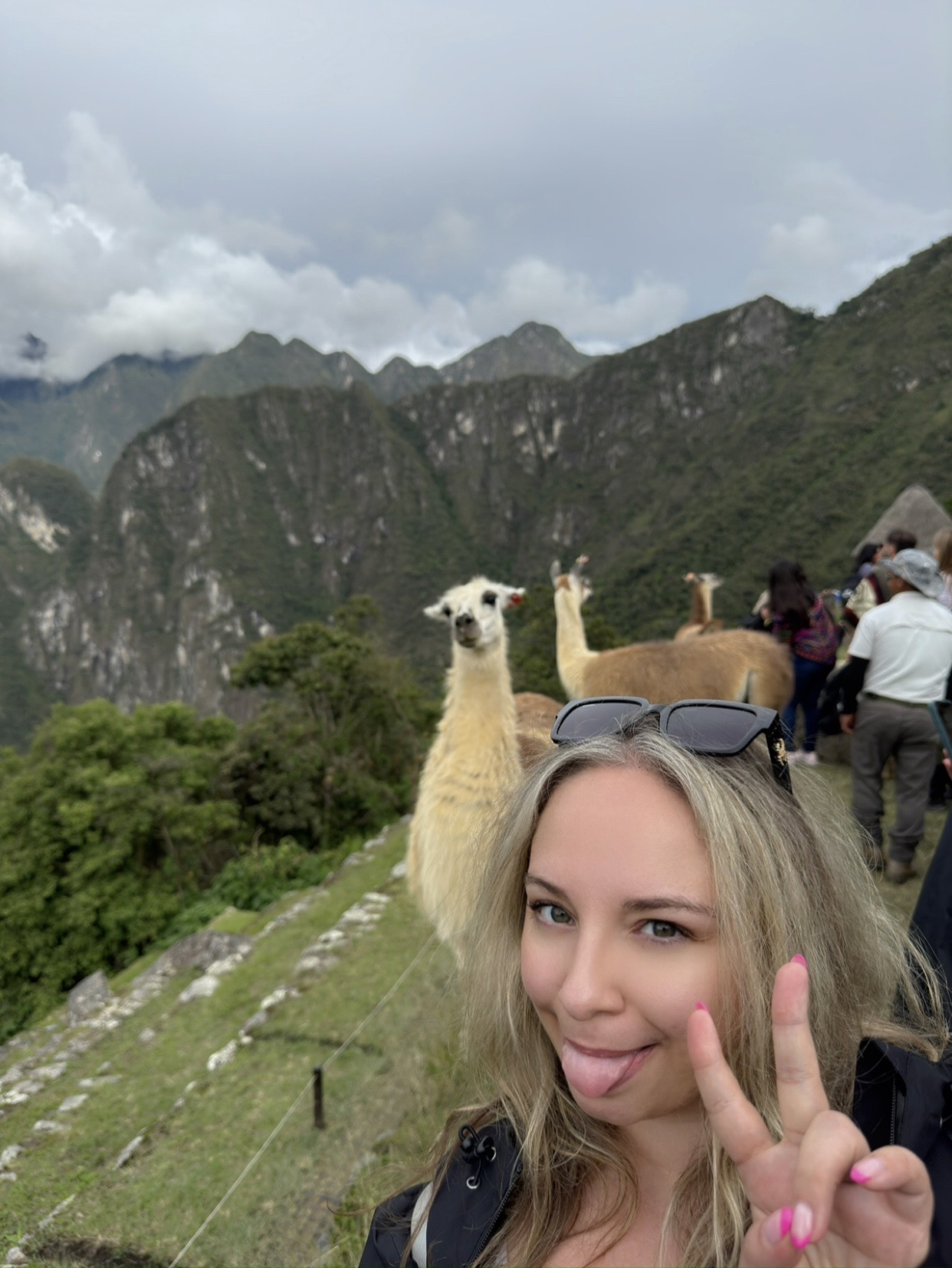 Photo at Machu Picchu with a llama